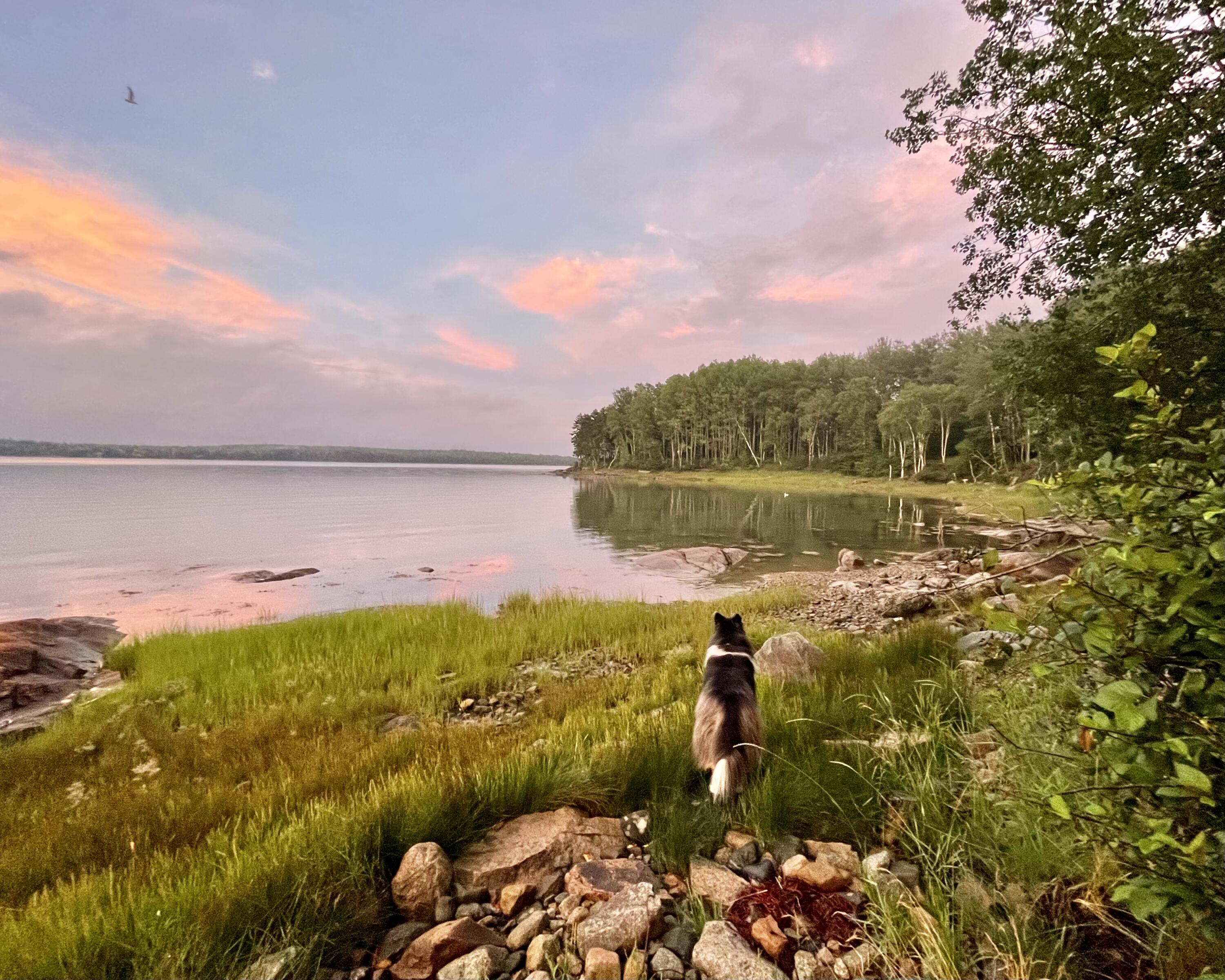 336 Rays Point Road Milbridge, ME 04658 - Photo 36 of 46