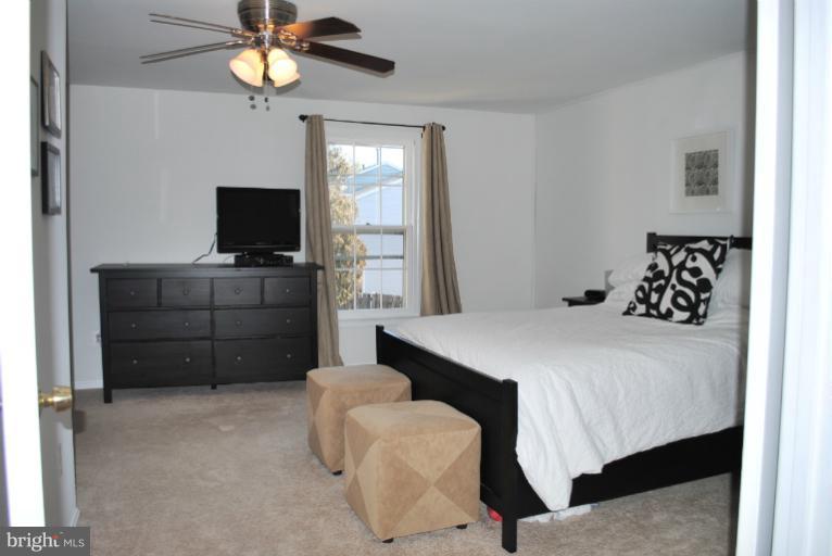 220 Finale Terrace Silver Spring, MD 20901 - Photo 17 of 26 Bedroom (Master)
