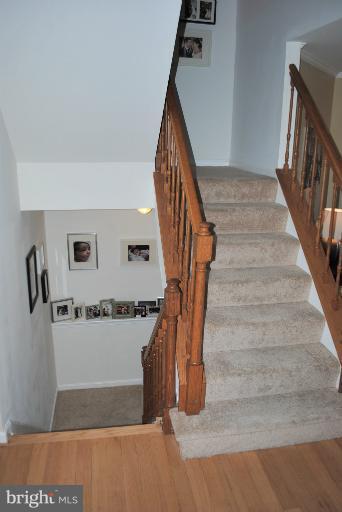 220 Finale Terrace Silver Spring, MD 20901 - Photo 19 of 26 ViewStairway to lower level