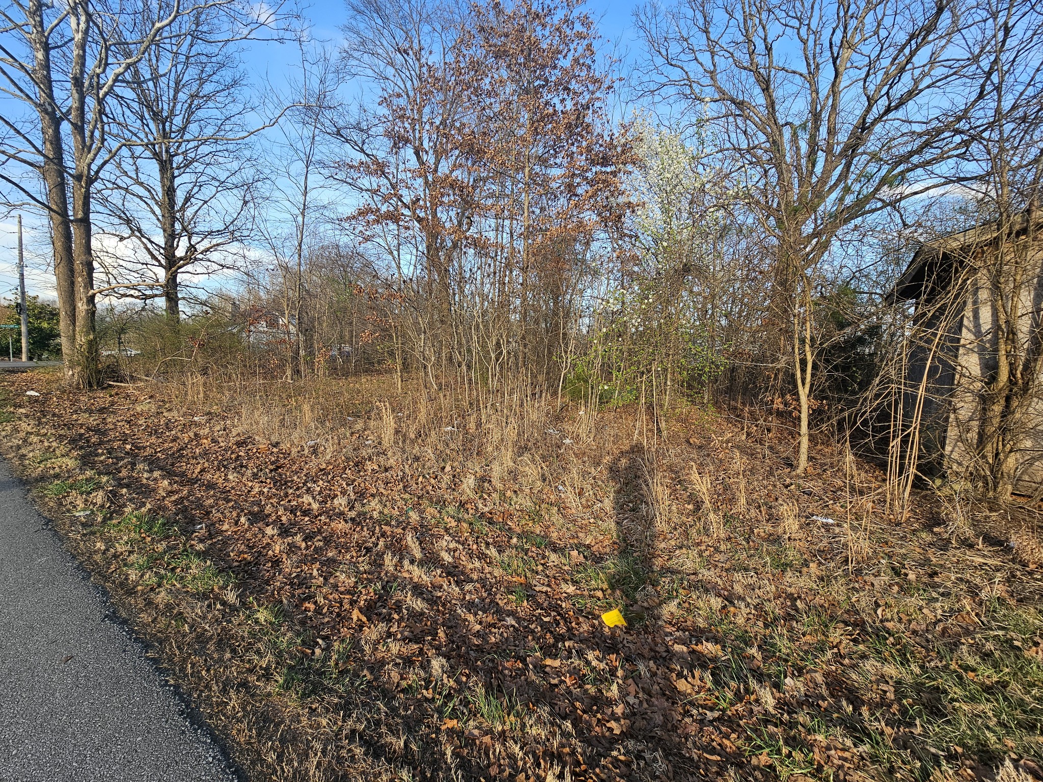 100 Nails Creek Drive Dickson, TN 37055 - Photo 2 of 3 a view of a lake with houses