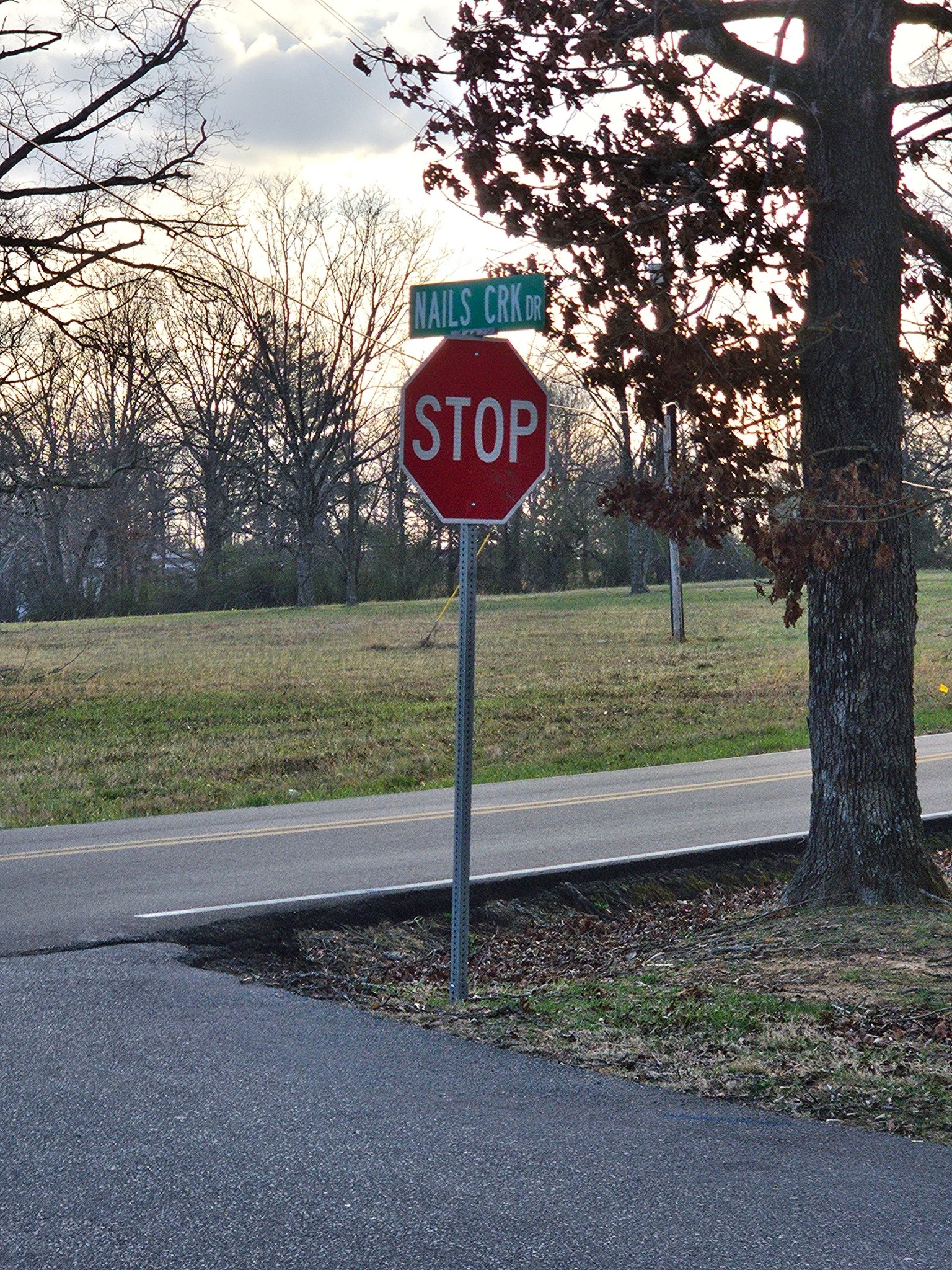 100 Nails Creek Drive Dickson, TN 37055 - Photo 3 of 3 a view of a park with a tree
