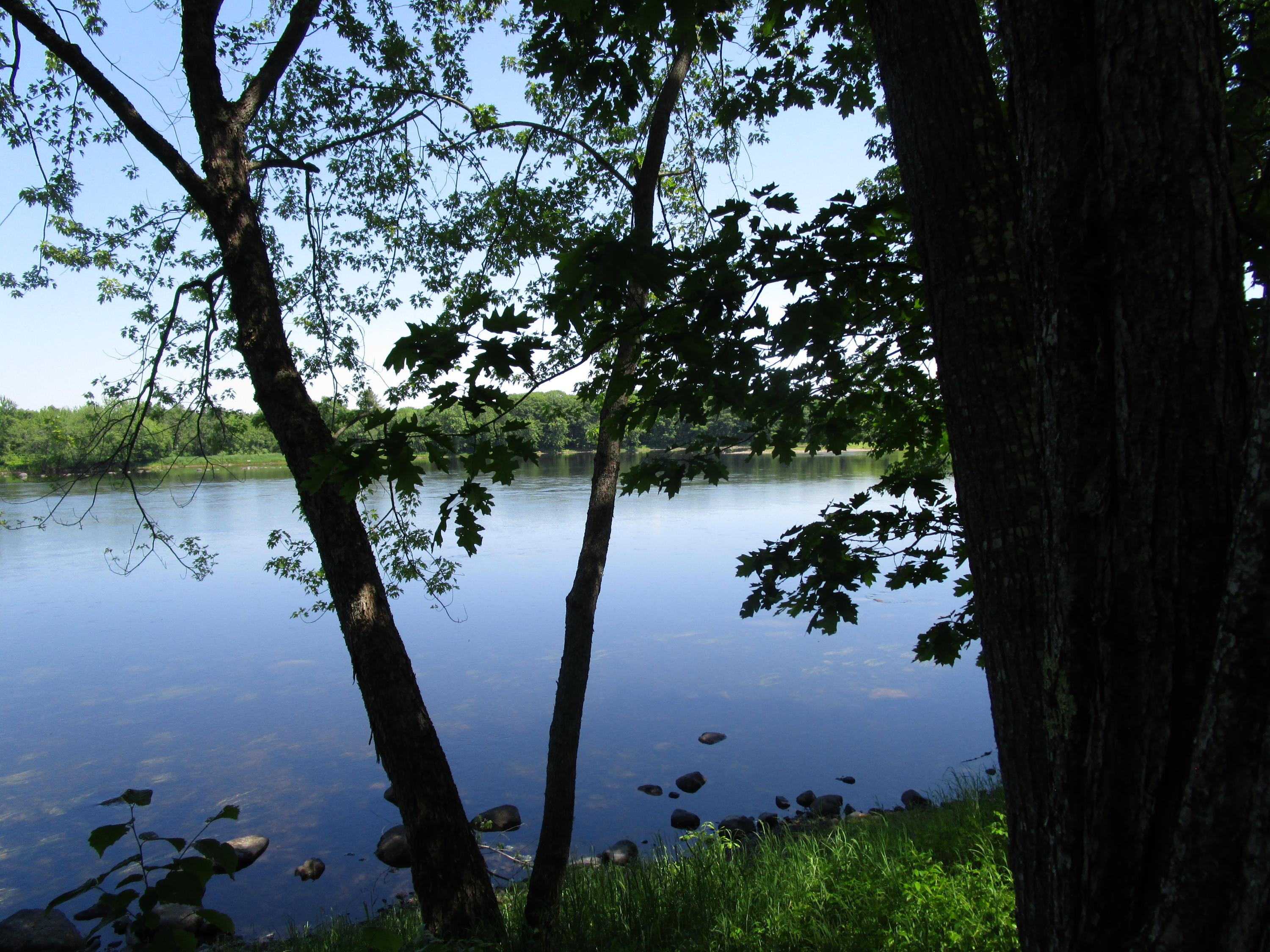 0 Edinburg Road Howland, ME 04448 - Photo 4 of 8 IMG_0841