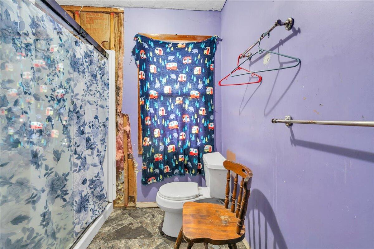 68 Old Sawmill Road Blue Ridge, VA 24064 - Photo 23 of 43 a bathroom with a toilet and shower curtain