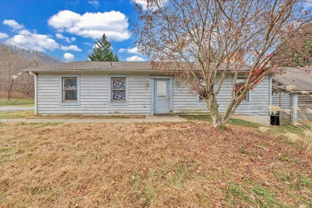 a house with trees in the background