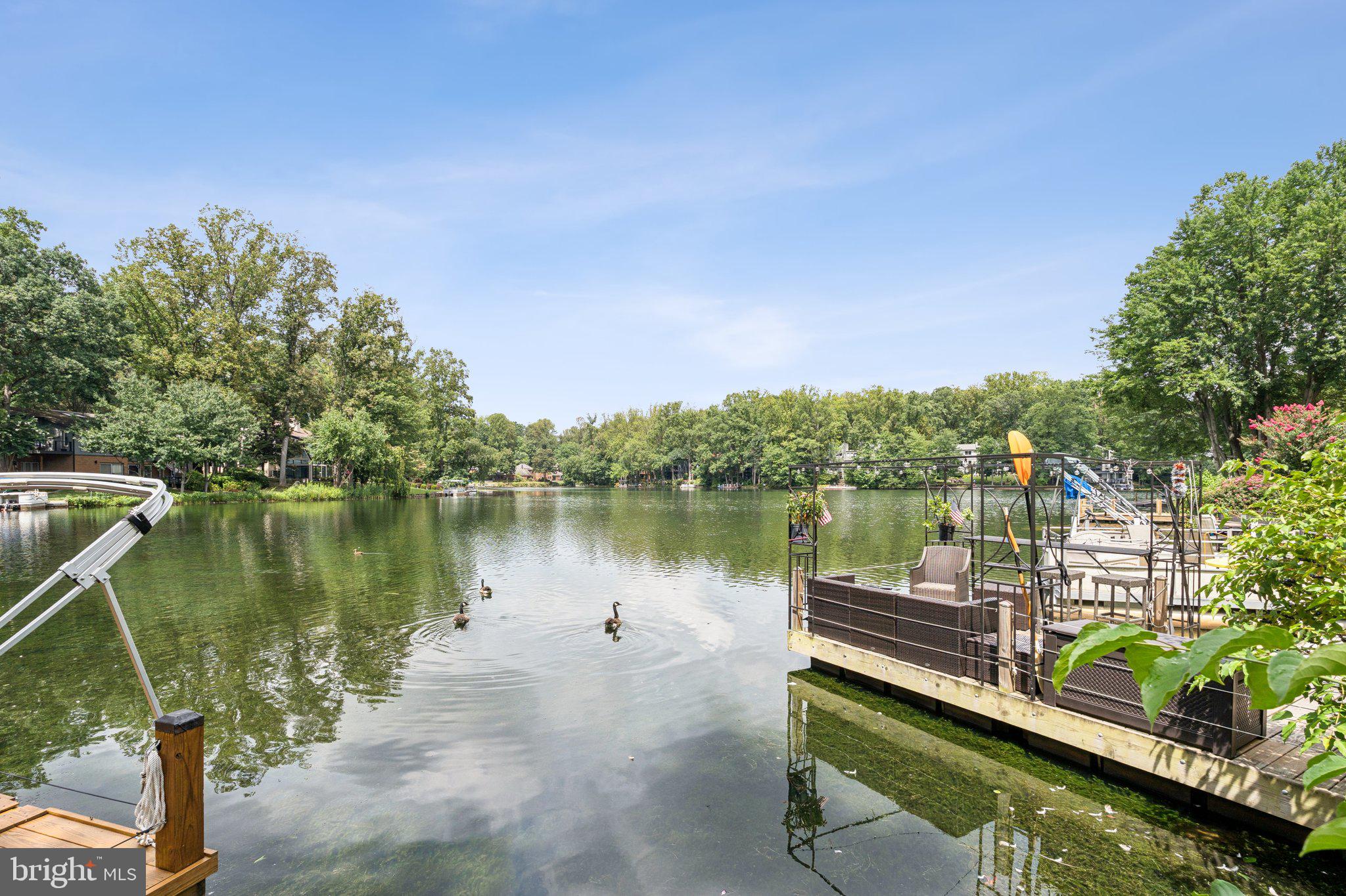 2009 Swans Neck Way Reston, VA 20191 - Photo 37 of 37 a view of a lake with a building in the background