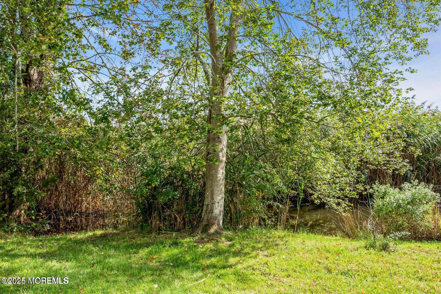 58 Garden Avenue Island Heights, NJ 08732 - Photo 46 of 46 a view of a yard with large trees