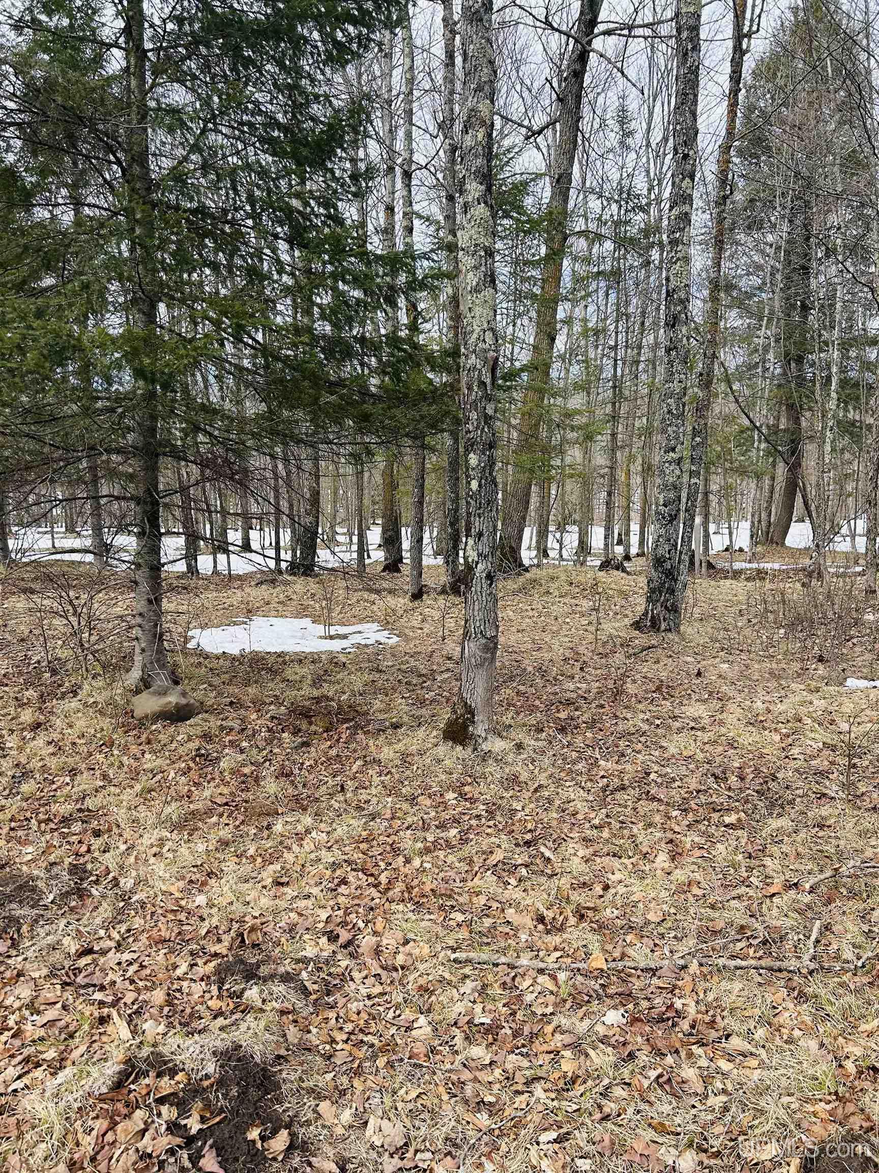 Lot#25 Fordville Road Foster City, MI 49834 - Photo 5 of 27