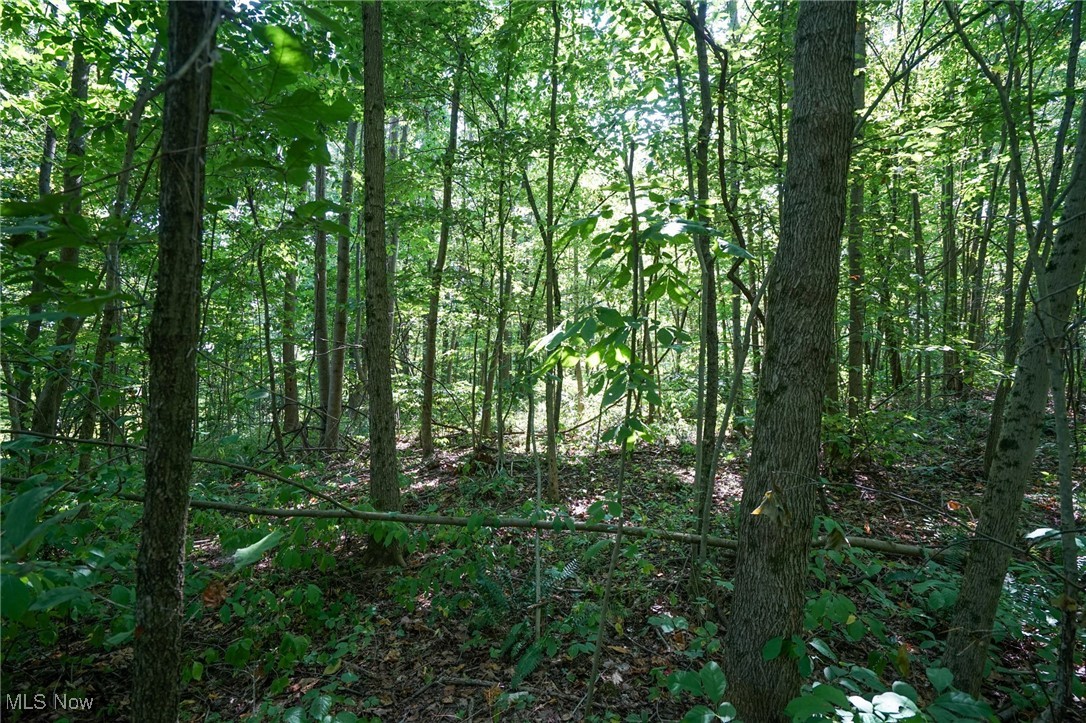 Johnson Run Road Kimbolton, OH 43749 - Photo 23 of 36 View of landscape