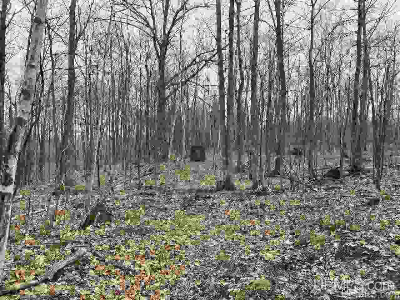 Tbd Plains Cutoff Road Baraga, MI 49908 - Photo 9 of 49