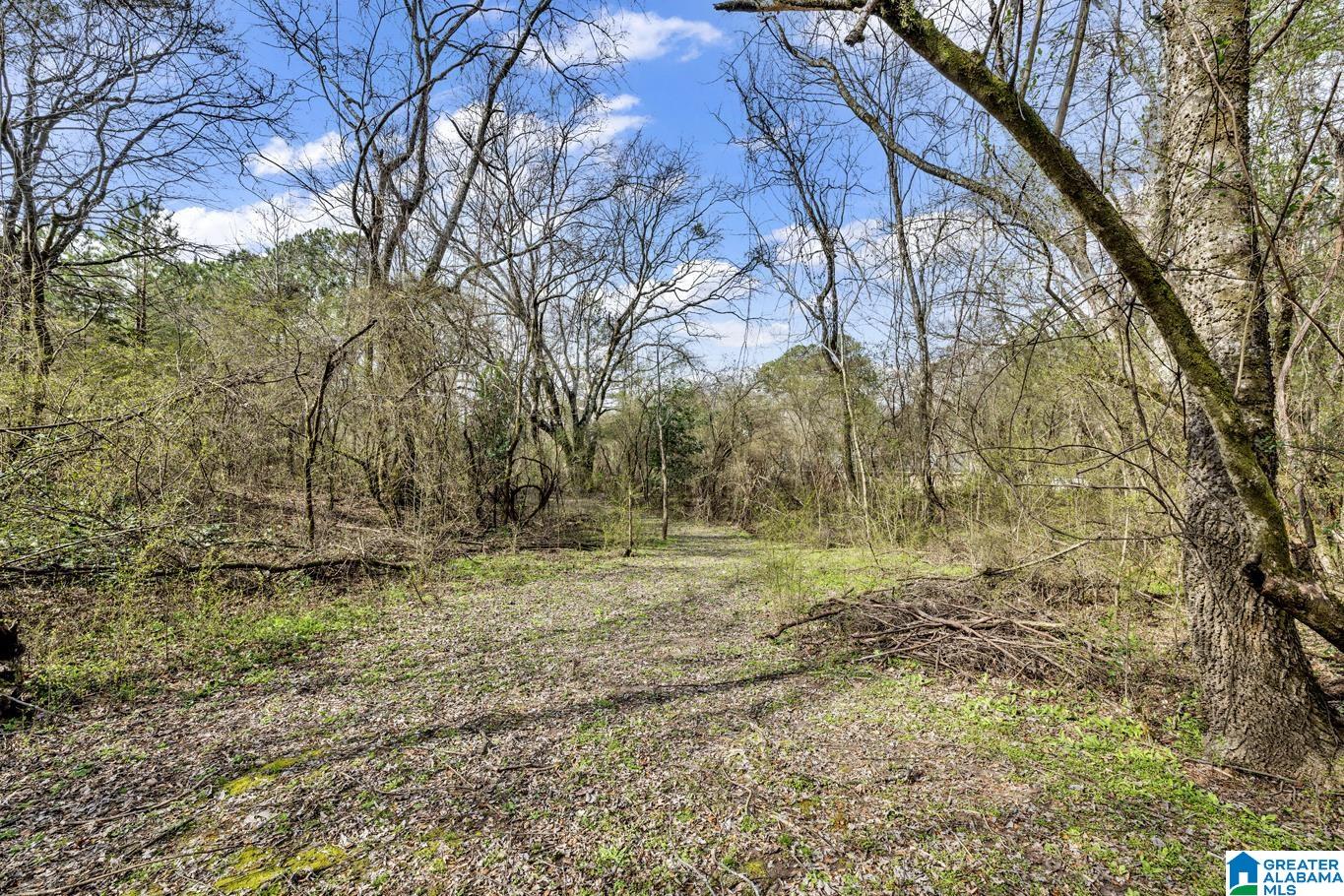9118 Tingle Cutoff Road Dora, AL 35062 - Photo 34 of 50