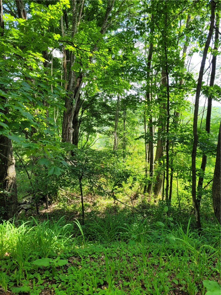 0 Hinman Road Unadilla, NY 13849 - Photo 1 of 1 Gallery Image 1