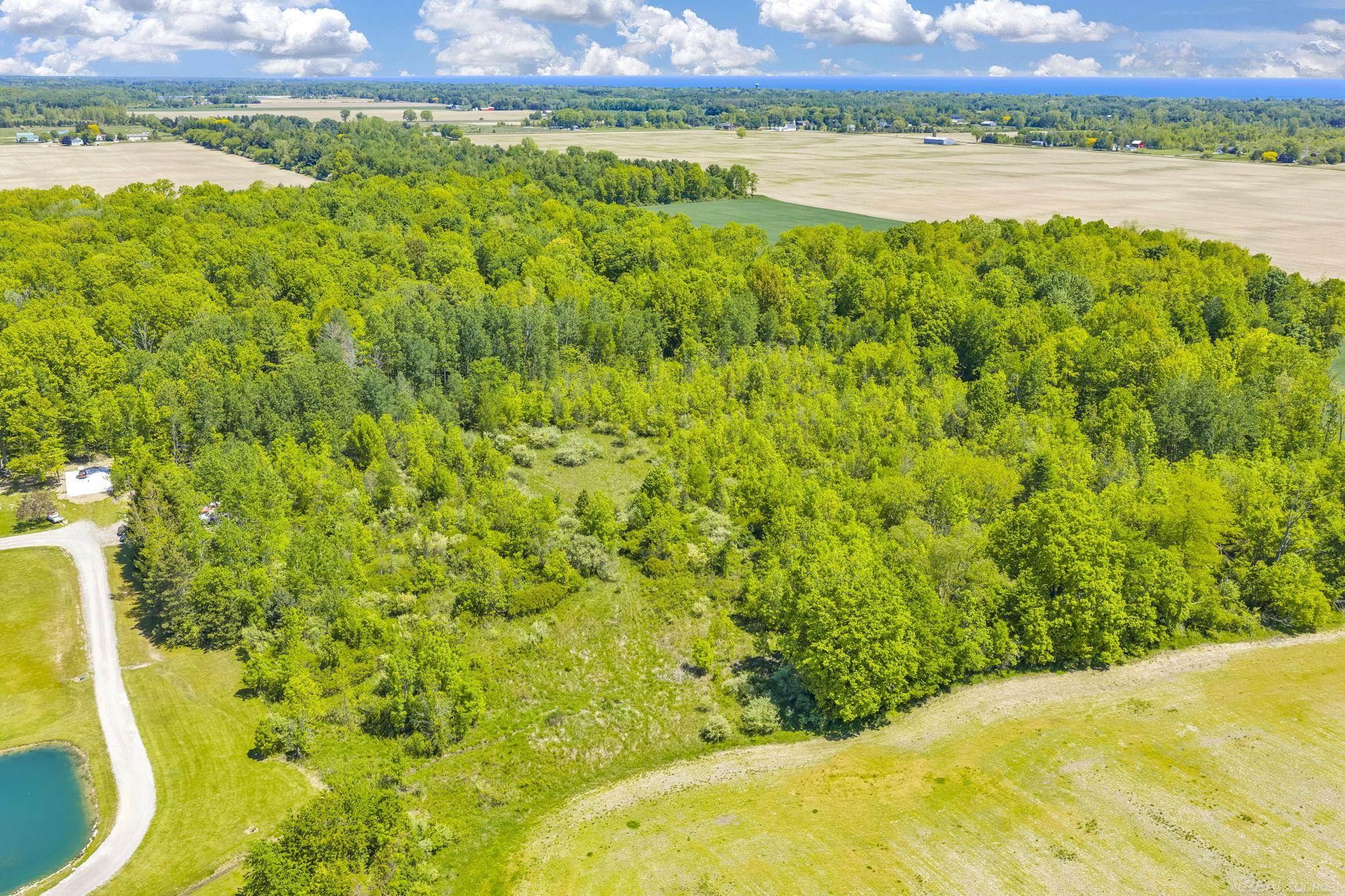 0 Wellman Line Road Yale, MI 48097 - Photo 5 of 10