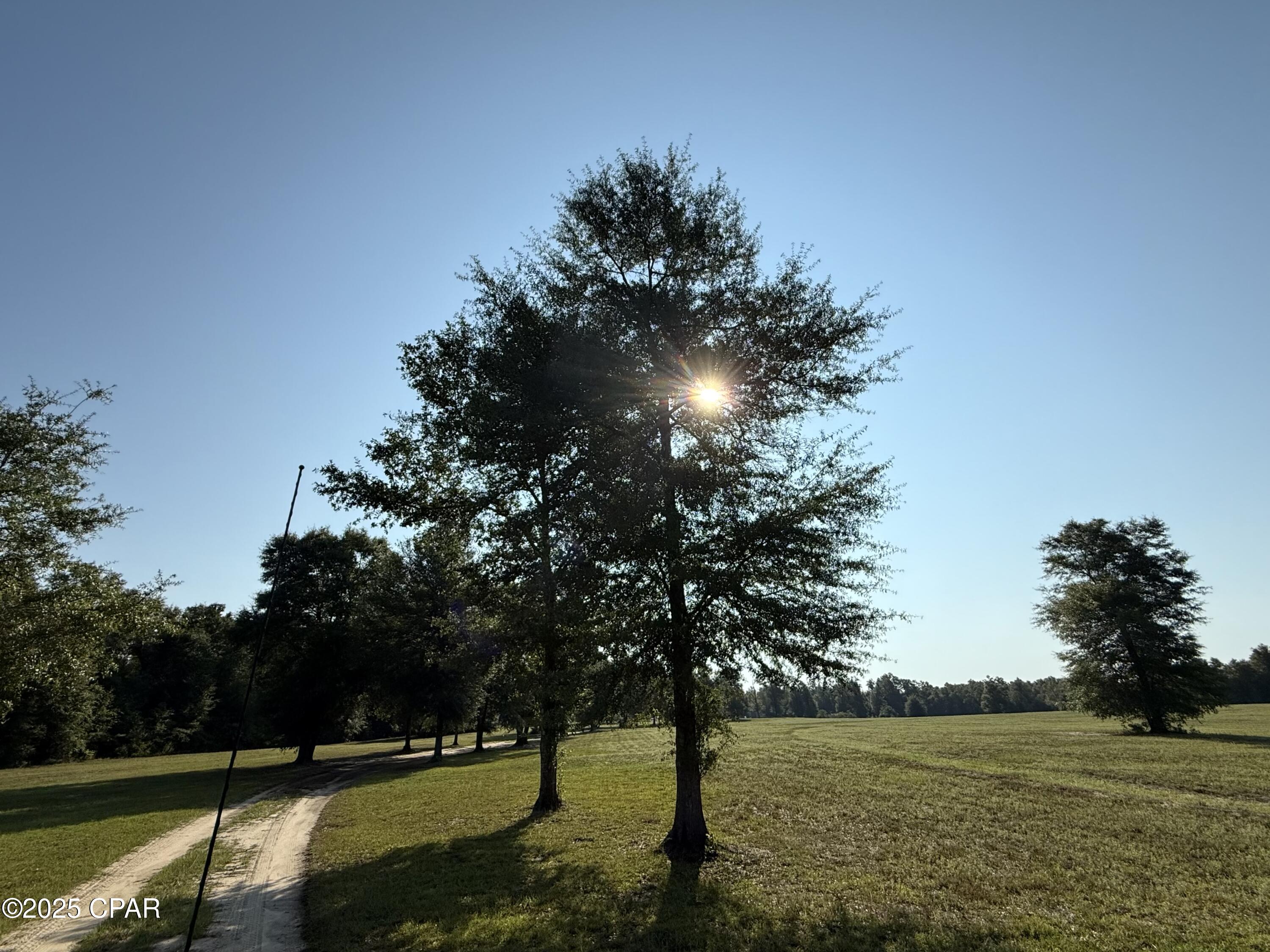 2640 Lawrence Road Marianna, FL 32446 - Photo 8 of 59