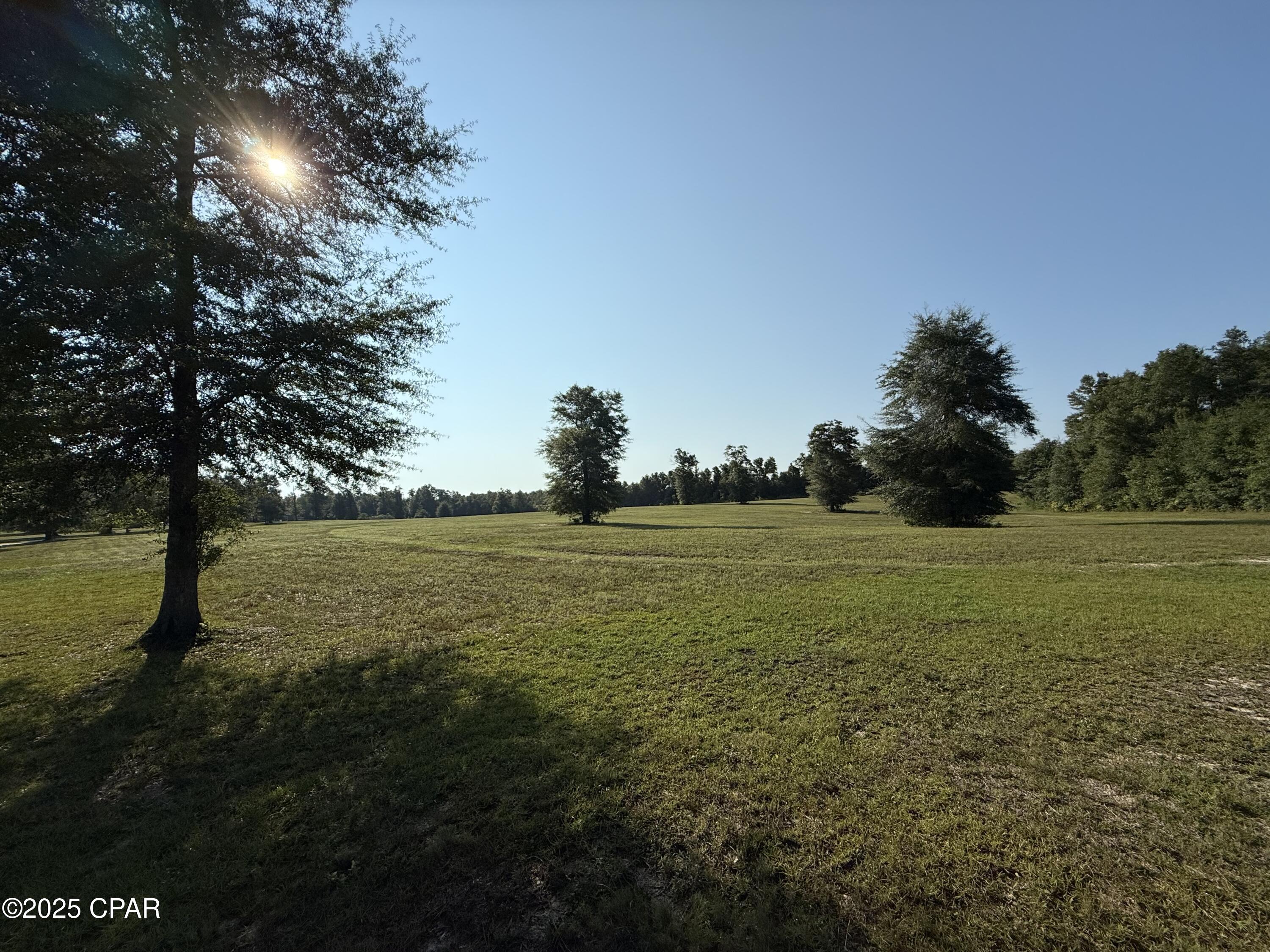 2640 Lawrence Road Marianna, FL 32446 - Photo 9 of 59