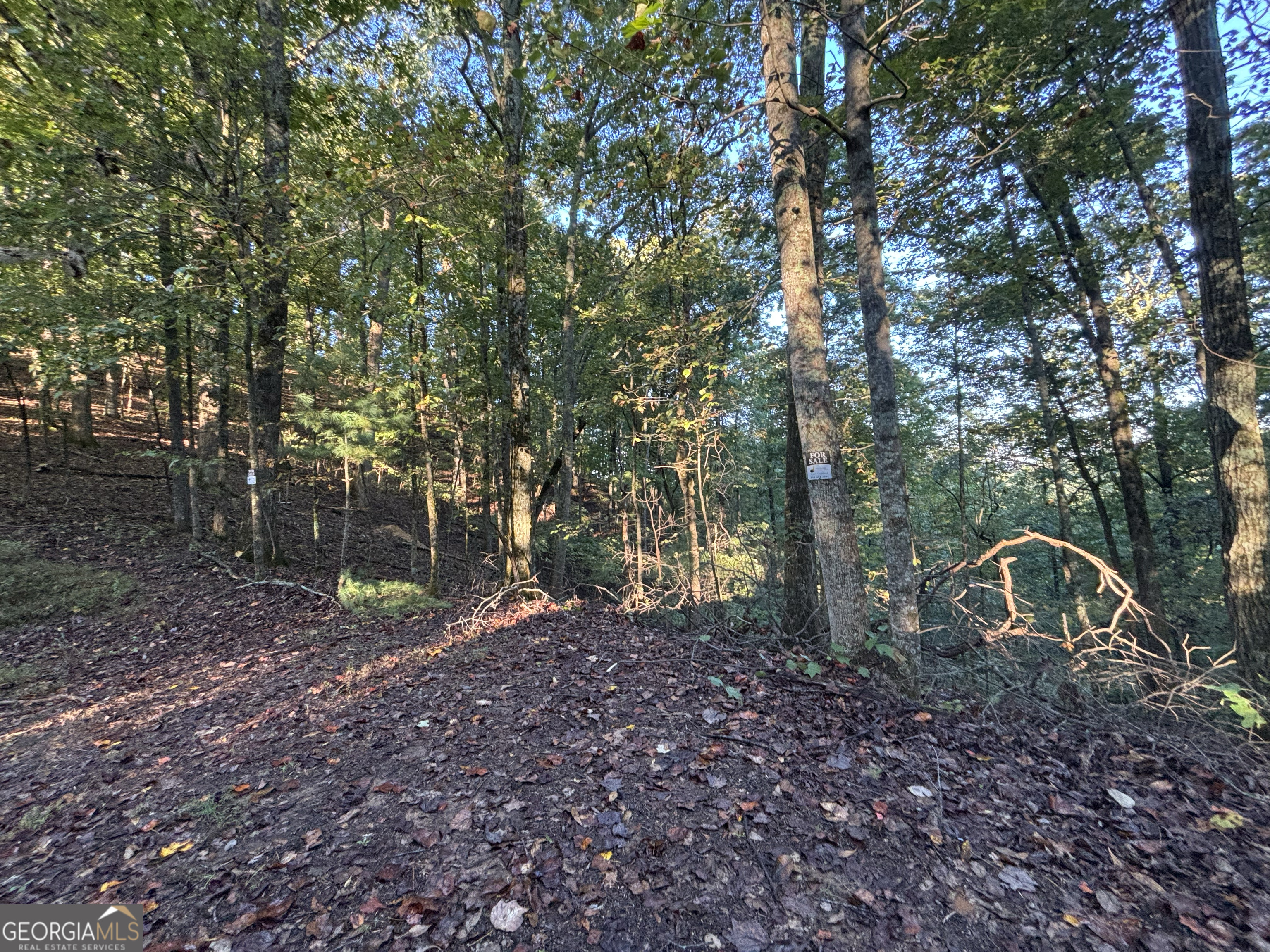 122 Adair Drive Ranger, GA 30734 - Photo 2 of 10