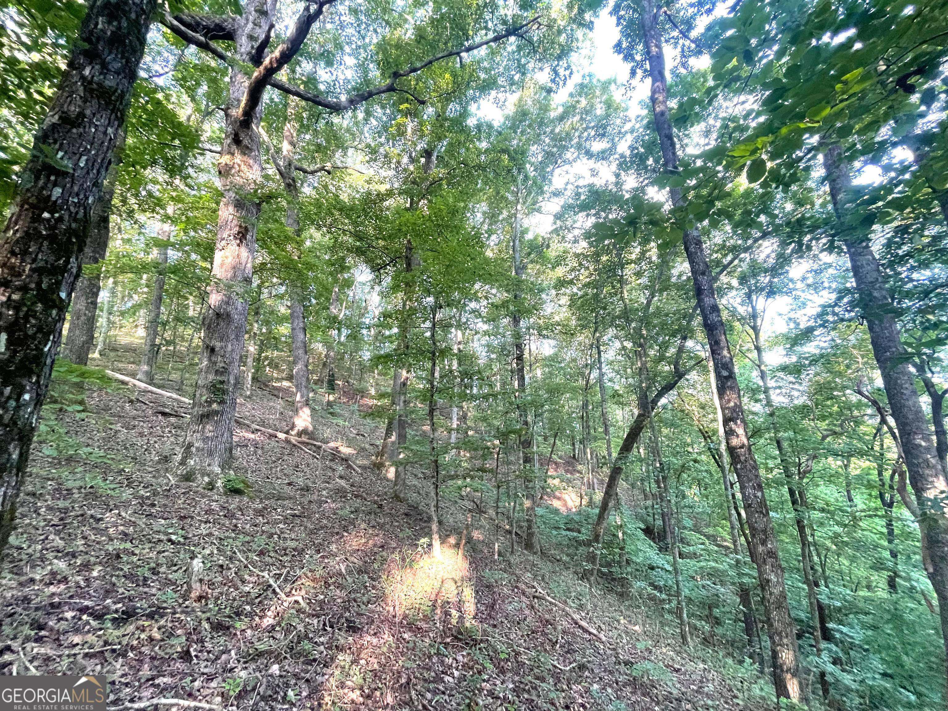 122 Adair Drive Ranger, GA 30734 - Photo 4 of 10