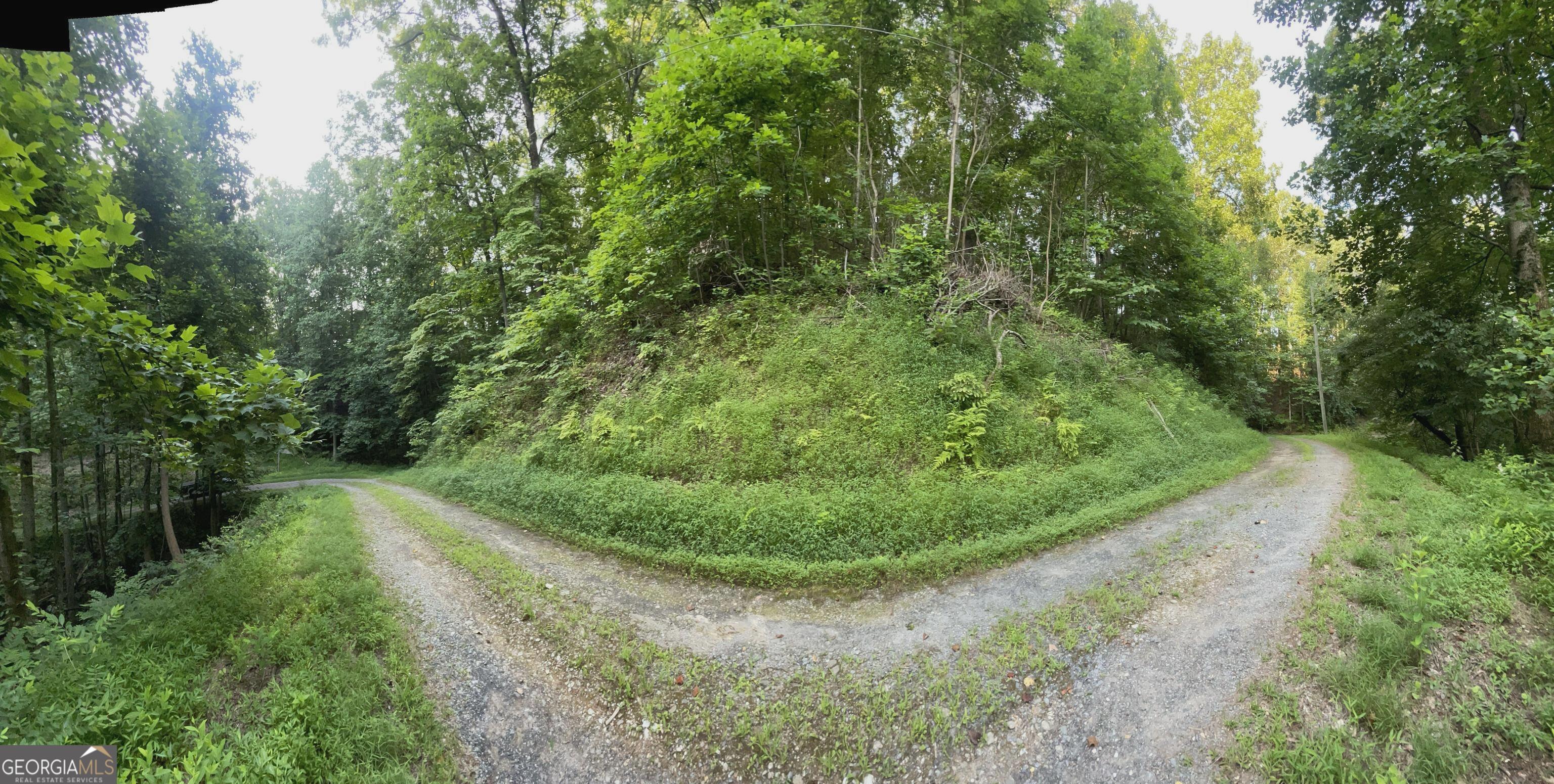 122 Adair Drive Ranger, GA 30734 - Photo 9 of 10