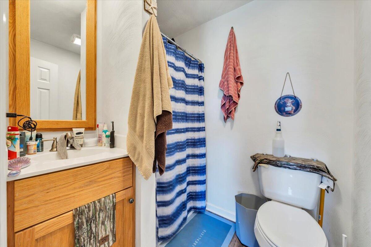 14189 Franklin Street Ferrum, VA 24088 - Photo 68 of 95 a bathroom with a sink a toilet and shower curtain