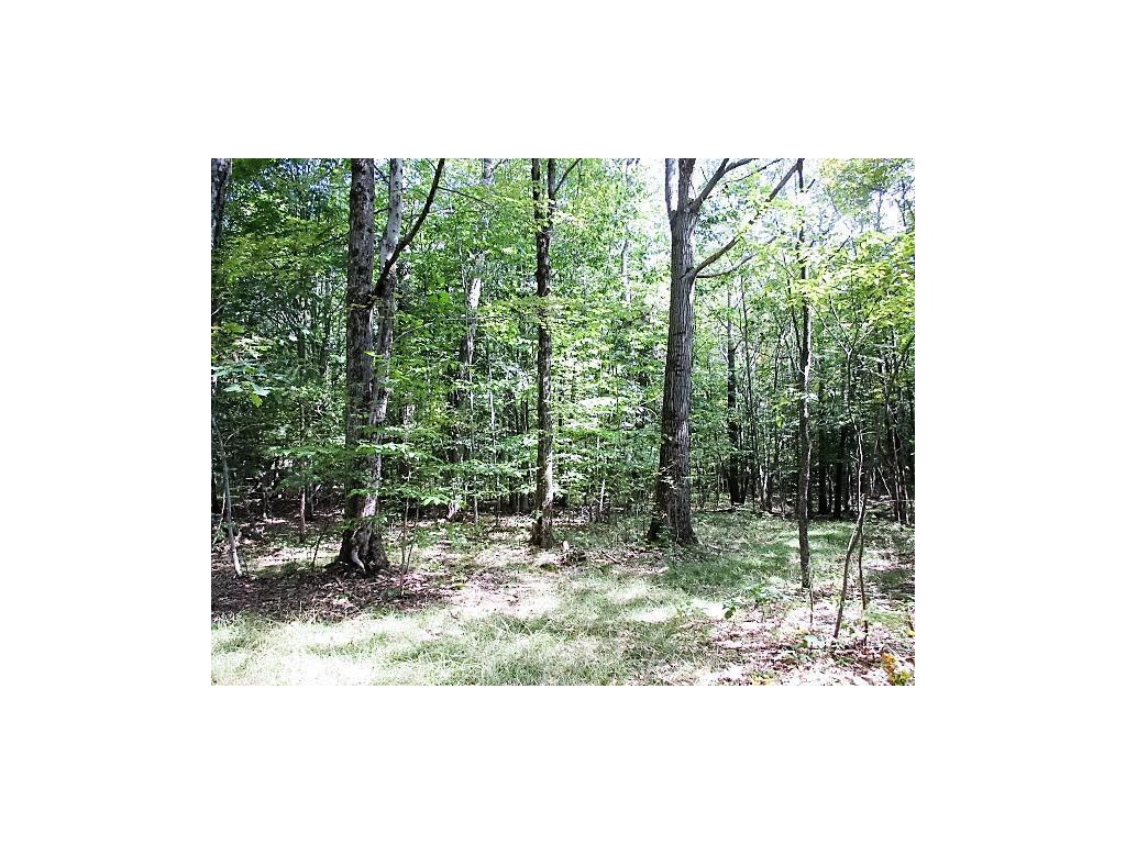 40 Lord Road Nineveh, NY 13813 - Photo 16 of 21 Gallery Image 16