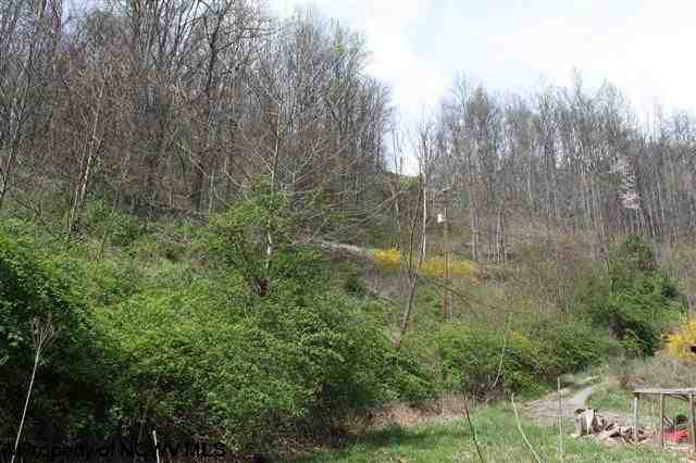 166 Bergoo Road Webster Springs, WV 26288 - Photo 5 of 12 Gallery Image 5