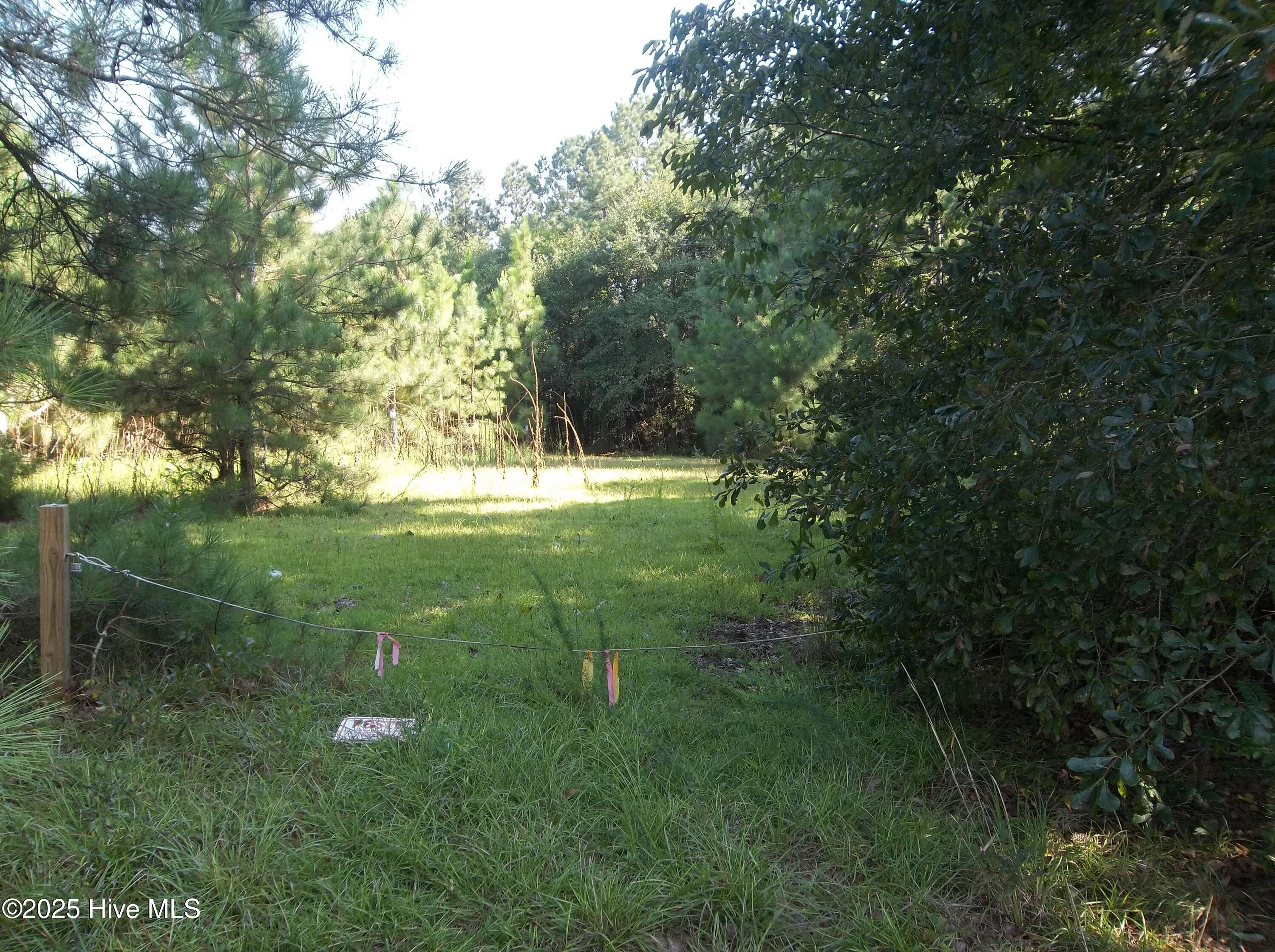0 Morgan Road Candor, NC 27229 - Photo 1 of 2 Front View