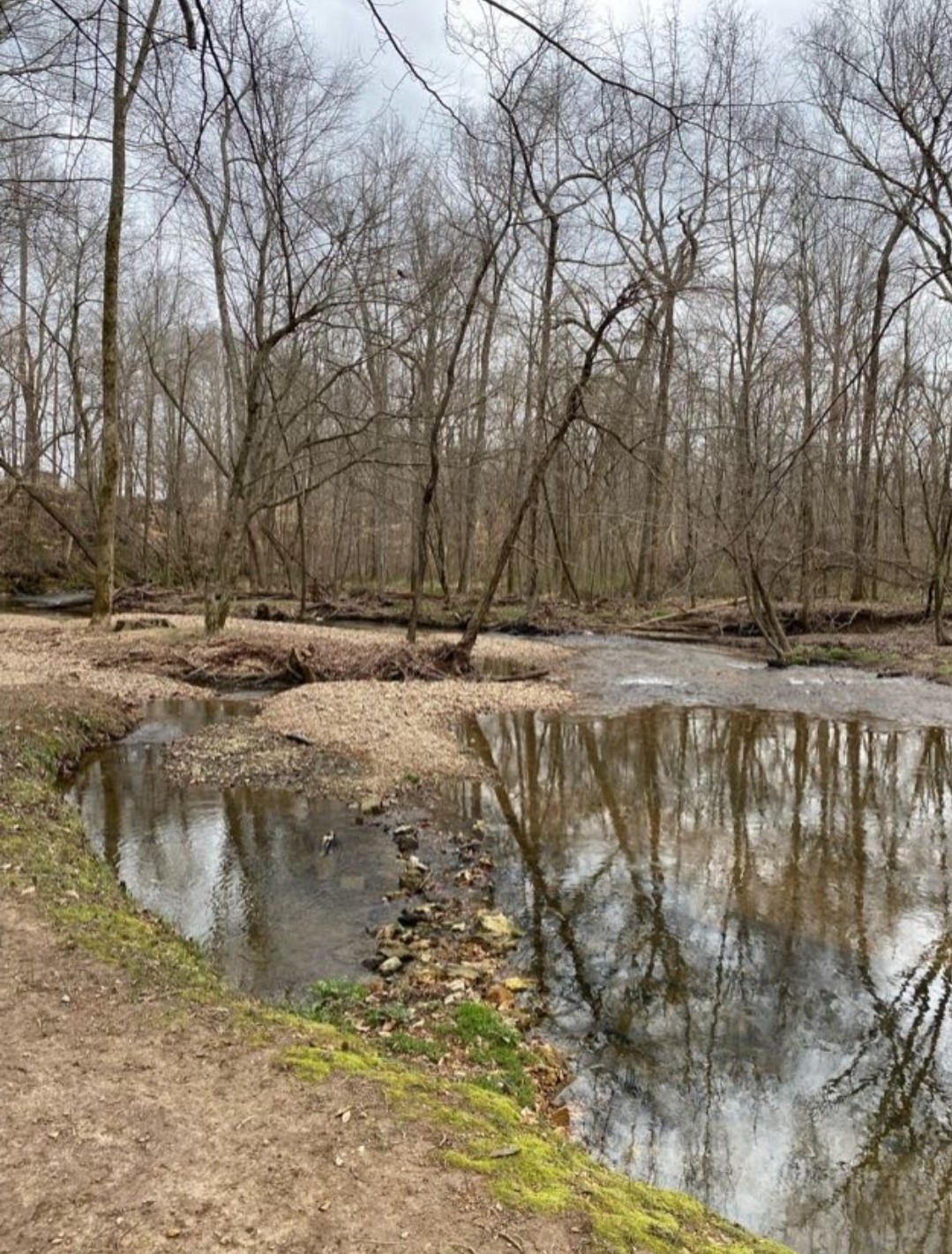 5670 Pleasant View Road Morrison, TN 37357 - Photo 13 of 19 a view of a yard with wooden fence