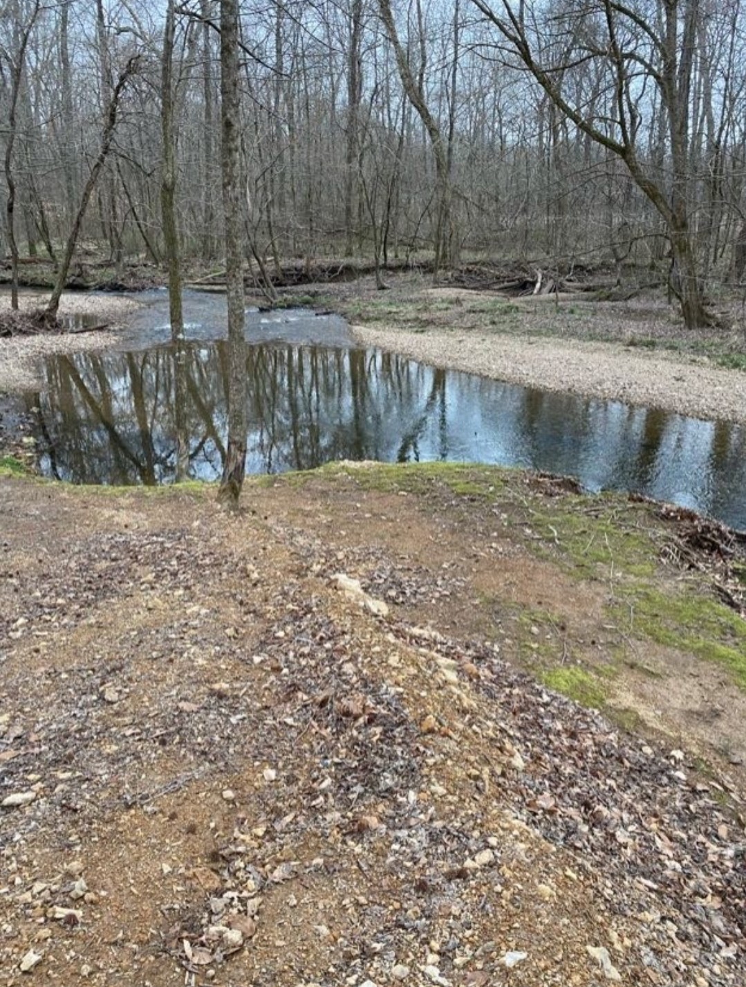 5670 Pleasant View Road Morrison, TN 37357 - Photo 14 of 19 a view of a yard with wooden fence