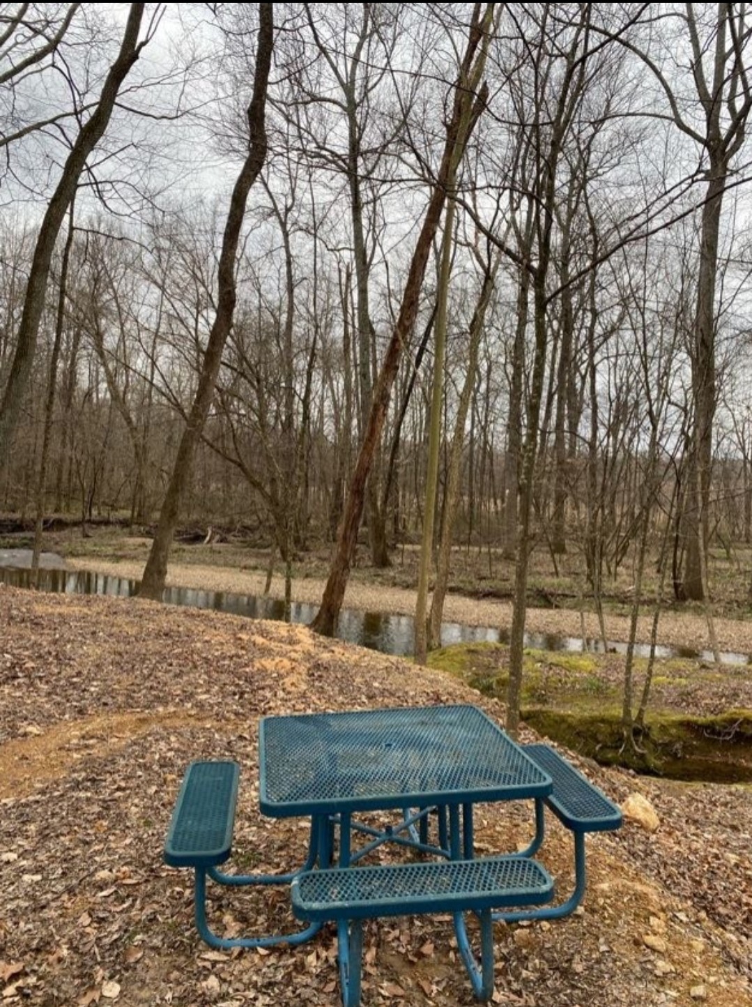 5670 Pleasant View Road Morrison, TN 37357 - Photo 15 of 19 a view of backyard with wooden fence and large trees