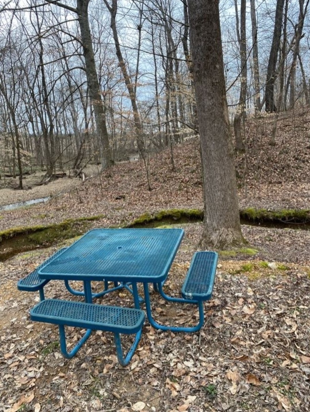 5670 Pleasant View Road Morrison, TN 37357 - Photo 16 of 19 a view of a wooden chairs and table in the backyard
