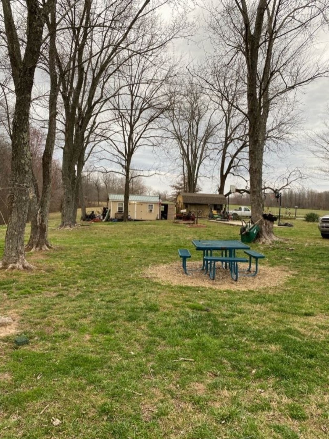 5670 Pleasant View Road Morrison, TN 37357 - Photo 7 of 19 a view of a park with large trees