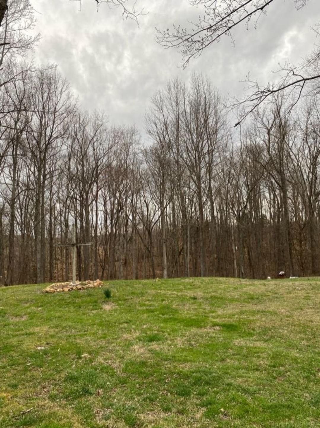 5670 Pleasant View Road Morrison, TN 37357 - Photo 8 of 19 a view of a park