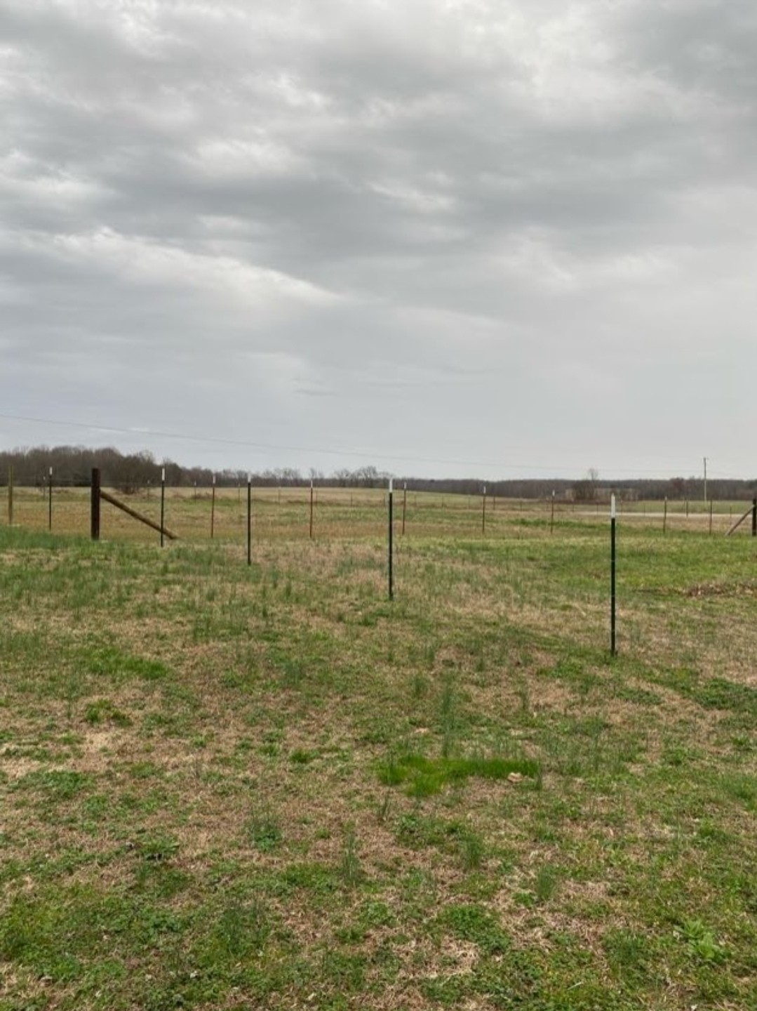 5670 Pleasant View Road Morrison, TN 37357 - Photo 9 of 19 a view of an ocean