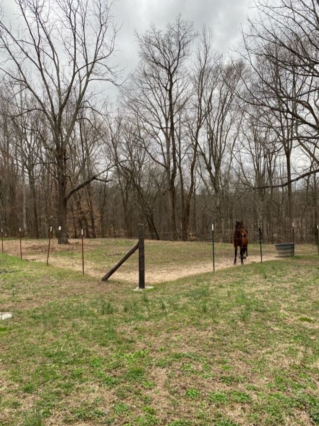 5670 Pleasant View Road Morrison, TN 37357 - Photo 10 of 19 a house view with swimming pool