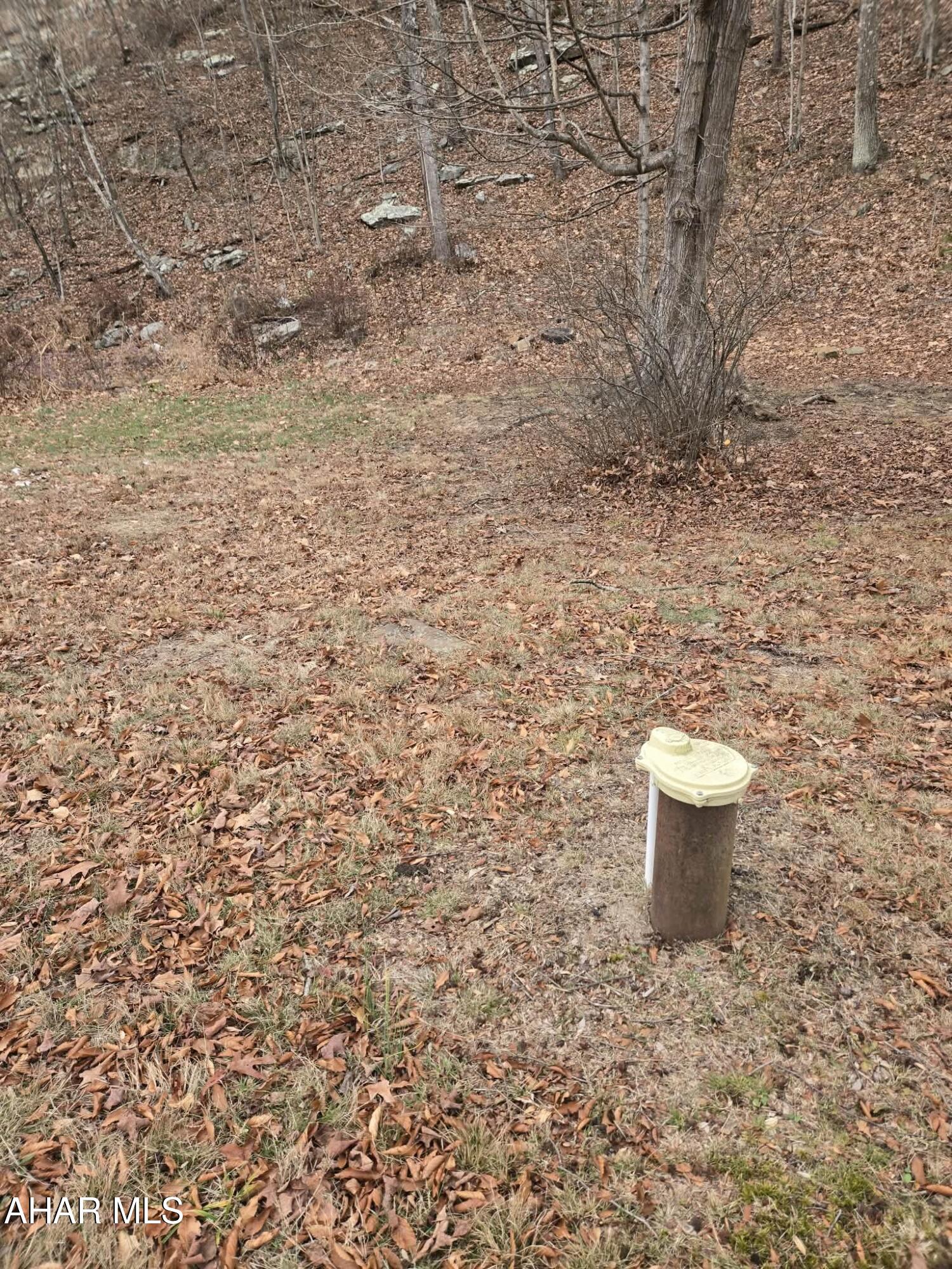 146 Quebec Road Hopewell, PA 16650 - Photo 13 of 17 Gallery Image 13