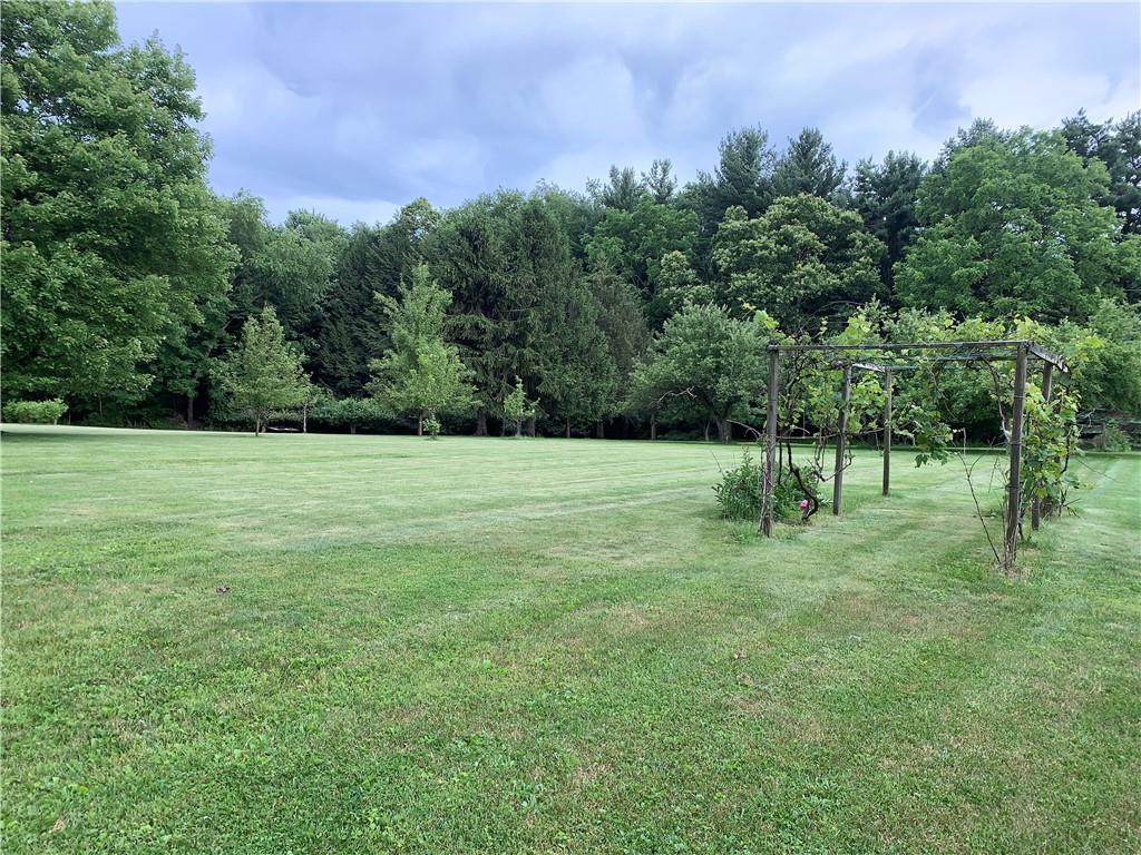 146 Oak Ridge Drive Butler, PA 16002 - Photo 3 of 22
