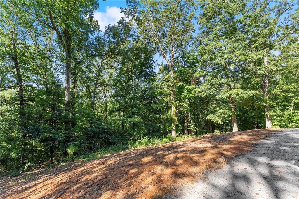 318 Jim Grizzle Road Royston, GA 30662 - Photo 20 of 56 a view of a yard with plants and large trees