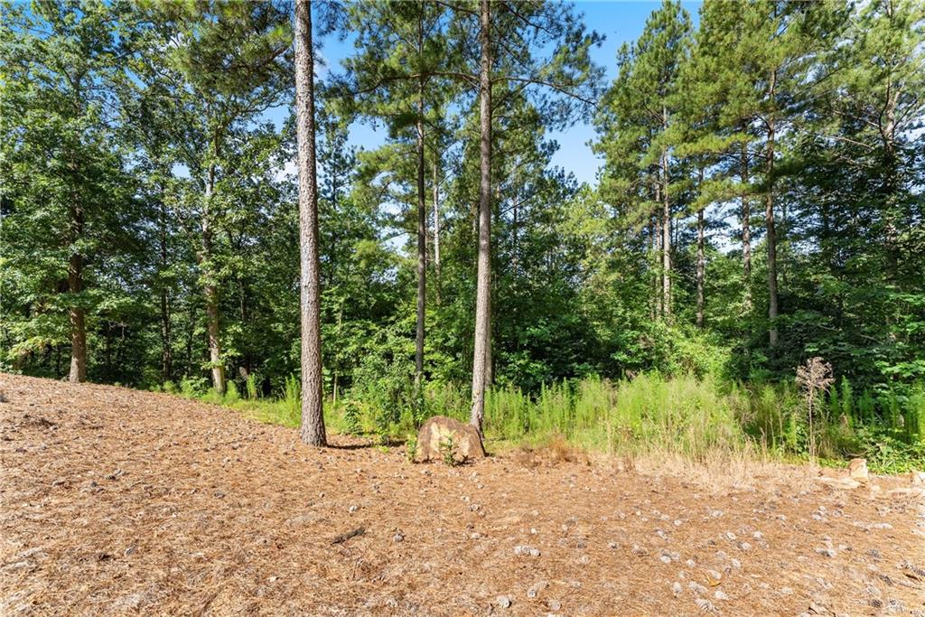318 Jim Grizzle Road Royston, GA 30662 - Photo 25 of 56 a view of a forest with trees