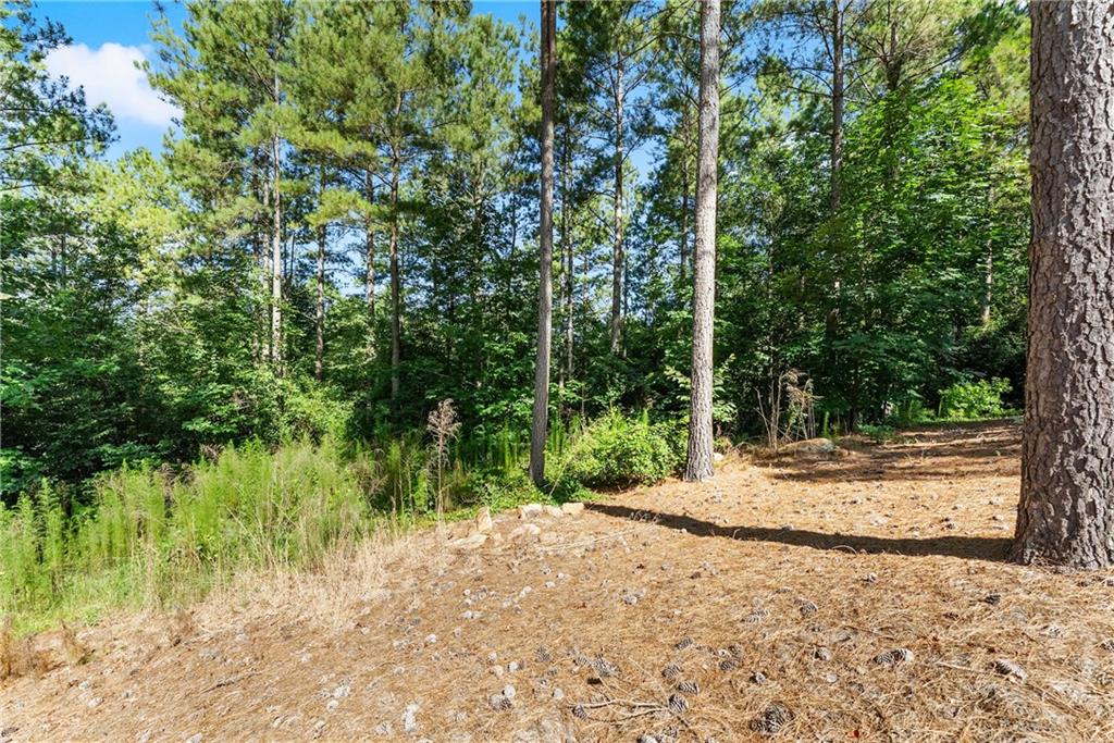 318 Jim Grizzle Road Royston, GA 30662 - Photo 26 of 56 a view of a yard with plants and large trees