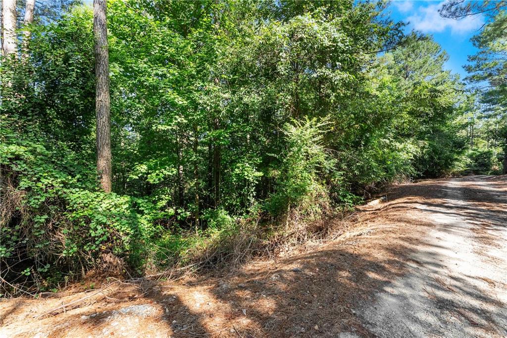 318 Jim Grizzle Road Royston, GA 30662 - Photo 27 of 56 a view of a road with plants and trees