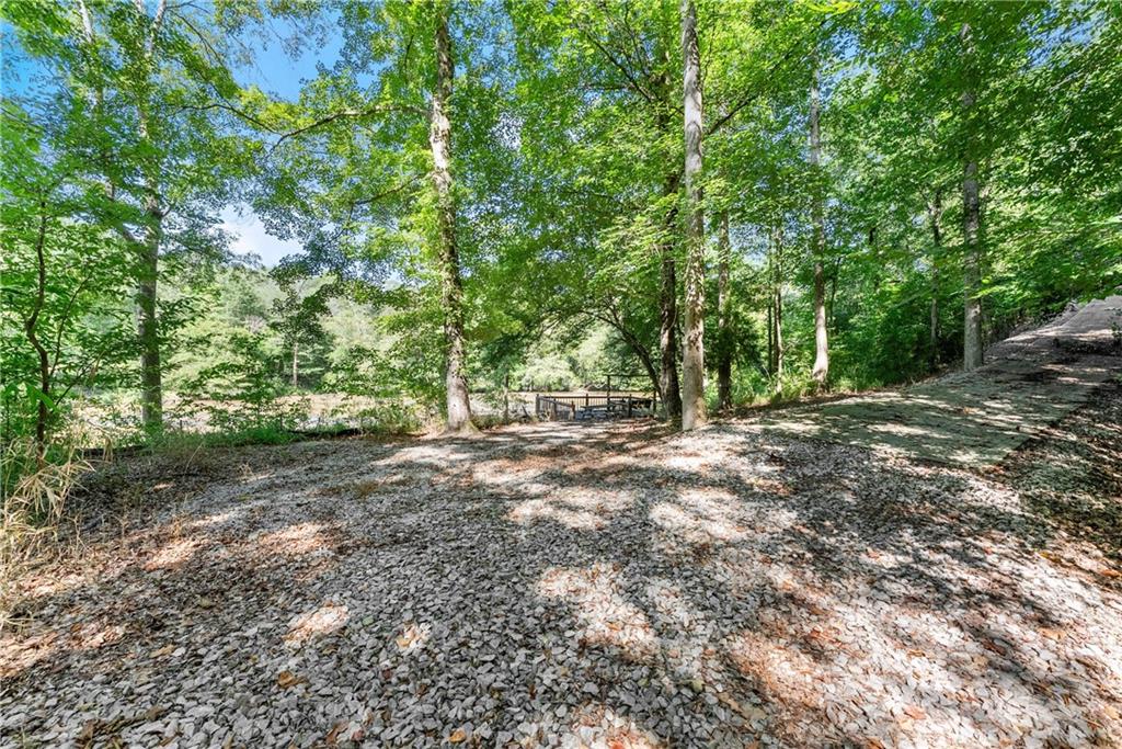 318 Jim Grizzle Road Royston, GA 30662 - Photo 29 of 56 a view of outdoor space and yard