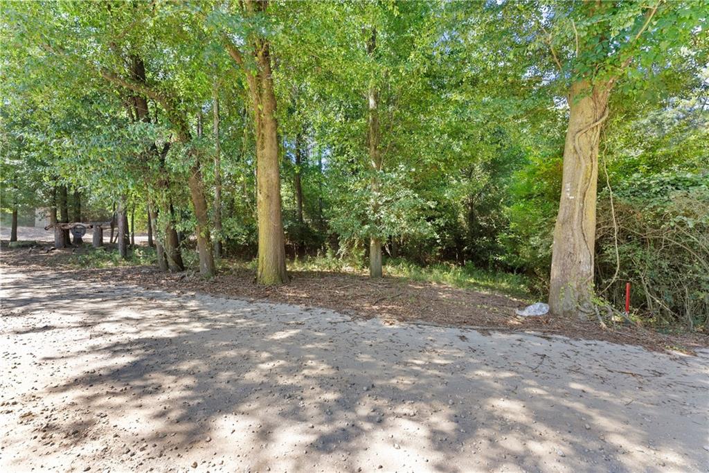 318 Jim Grizzle Road Royston, GA 30662 - Photo 37 of 56 a view of a forest with trees