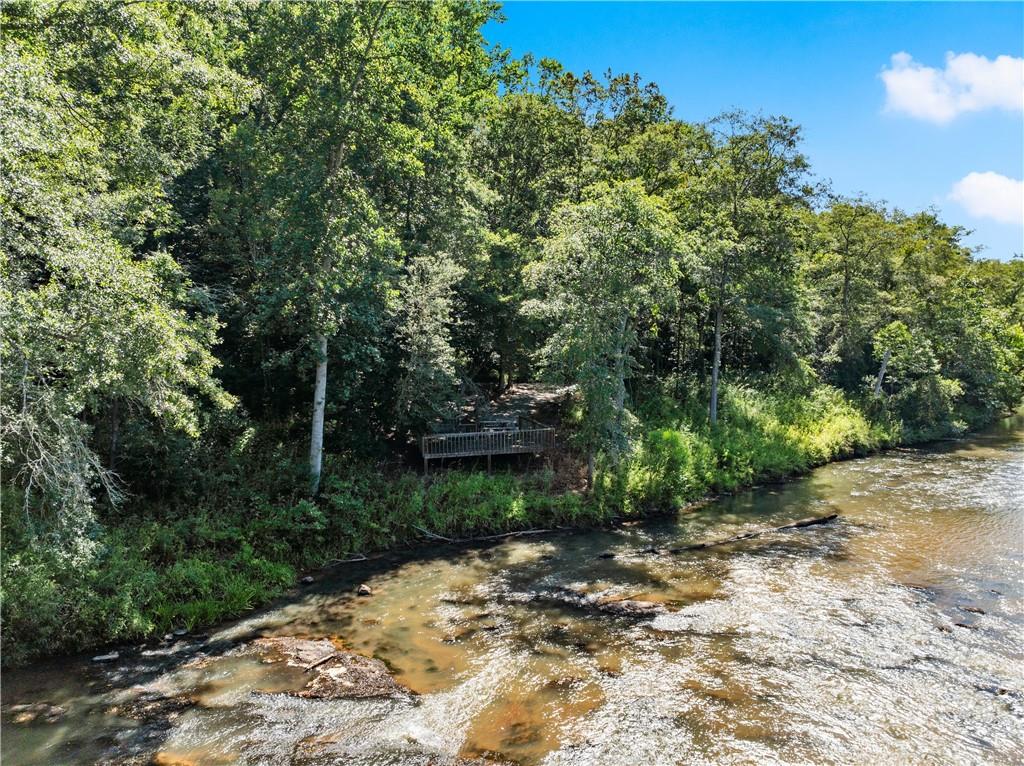 318 Jim Grizzle Road Royston, GA 30662 - Photo 40 of 56 a view of a pathway with a yard