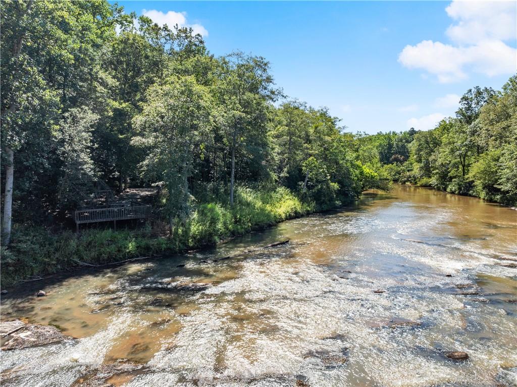 318 Jim Grizzle Road Royston, GA 30662 - Photo 41 of 56 a view of a yard with plants and trees