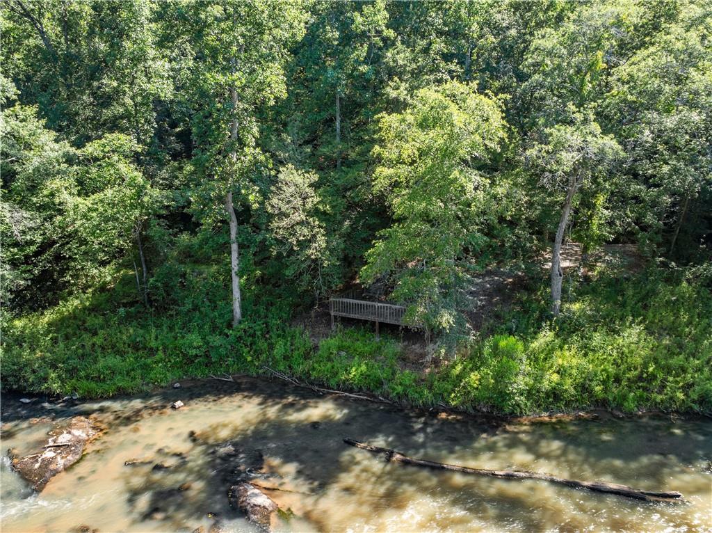 318 Jim Grizzle Road Royston, GA 30662 - Photo 42 of 56 a view of a pathway both side of yard