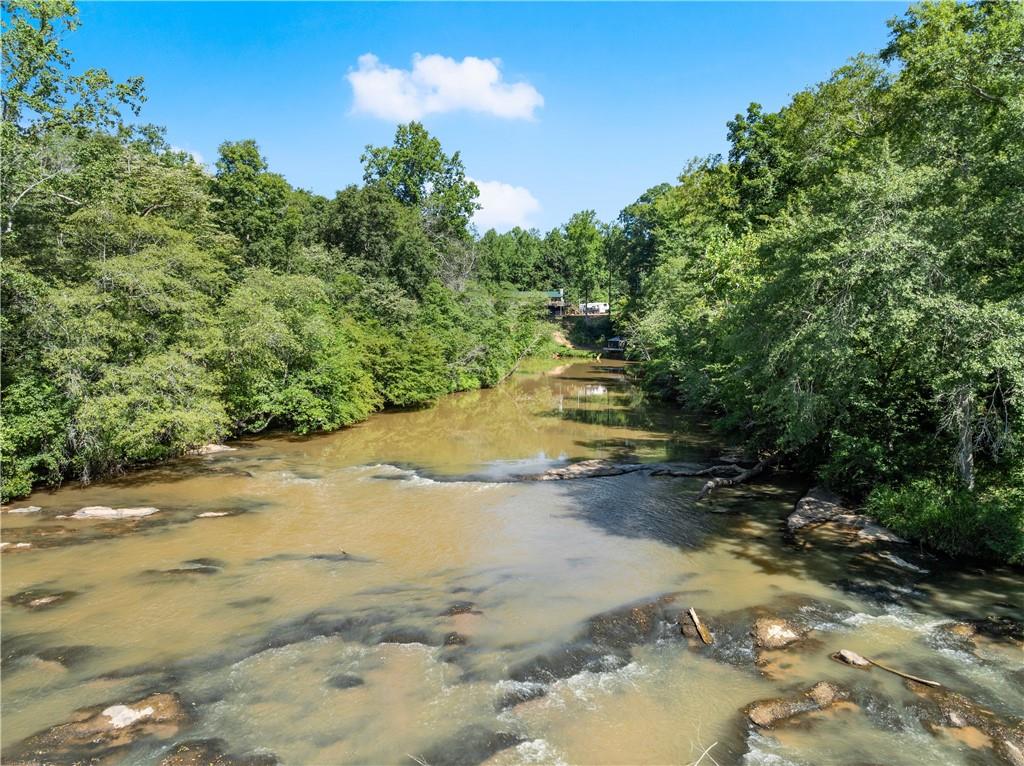318 Jim Grizzle Road Royston, GA 30662 - Photo 43 of 56 a view of a yard with an trees