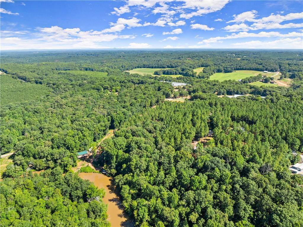 318 Jim Grizzle Road Royston, GA 30662 - Photo 44 of 56 a view of a green field