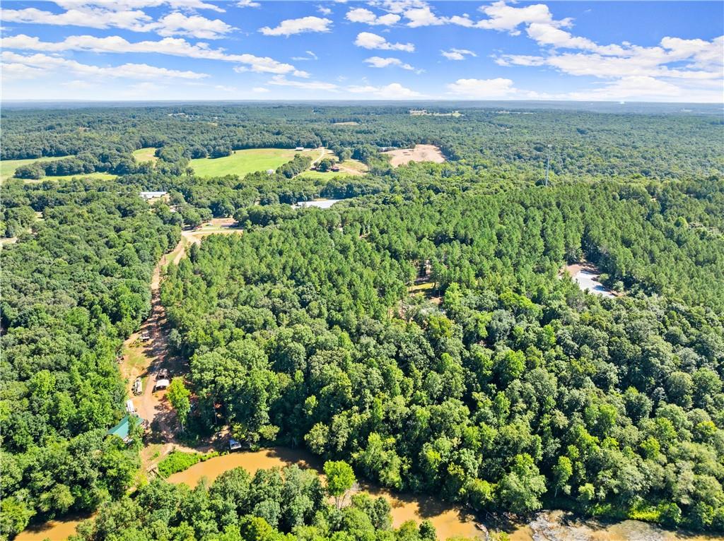 318 Jim Grizzle Road Royston, GA 30662 - Photo 45 of 56 a view of a city with lush green forest