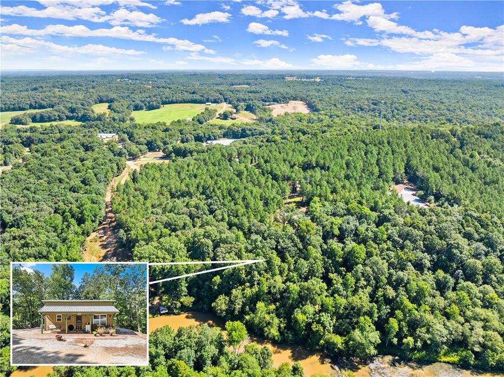 318 Jim Grizzle Road Royston, GA 30662 - Photo 46 of 56 a view of a garden with an outdoor space