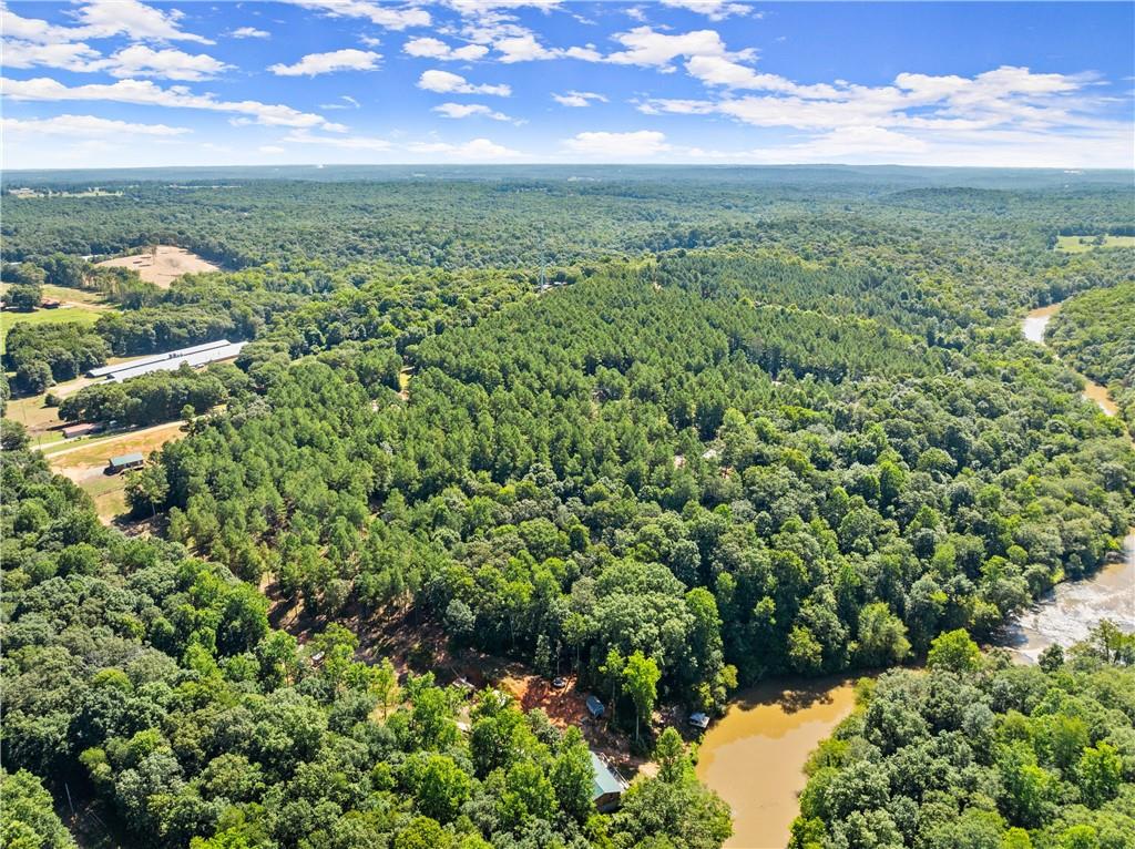 318 Jim Grizzle Road Royston, GA 30662 - Photo 47 of 56 a view of a yard with an outdoor seating