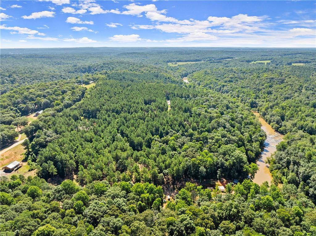 318 Jim Grizzle Road Royston, GA 30662 - Photo 49 of 56 a view of a lush green forest